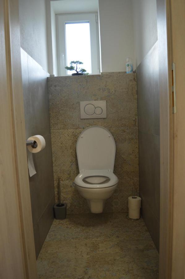 Apartmany Olsovska Бзенец Экстерьер фото