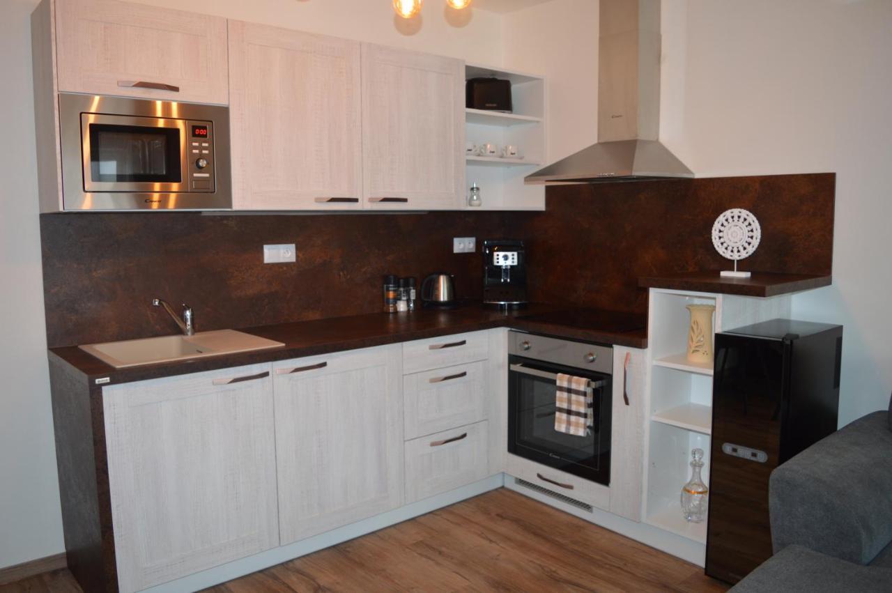Apartmany Olsovska Бзенец Экстерьер фото
