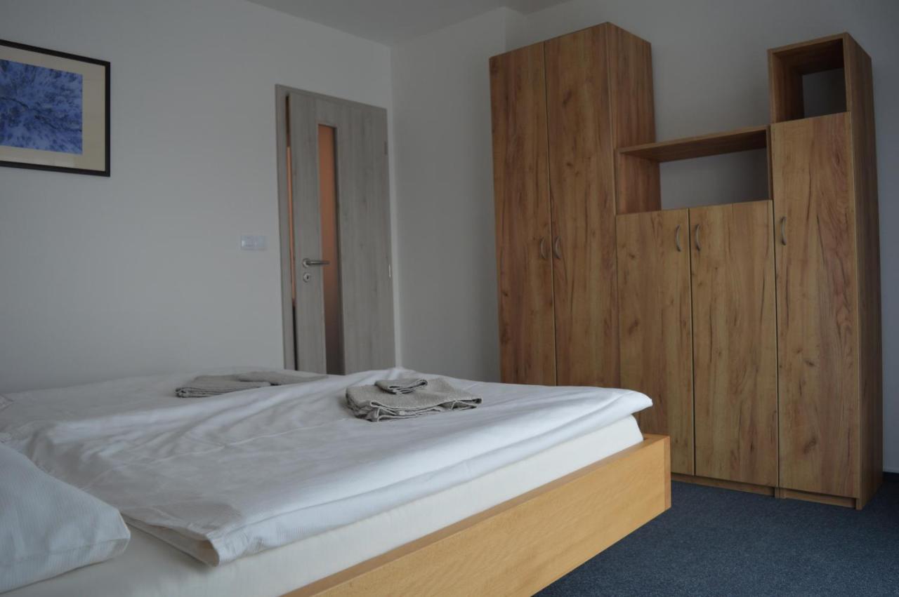 Apartmany Olsovska Бзенец Экстерьер фото