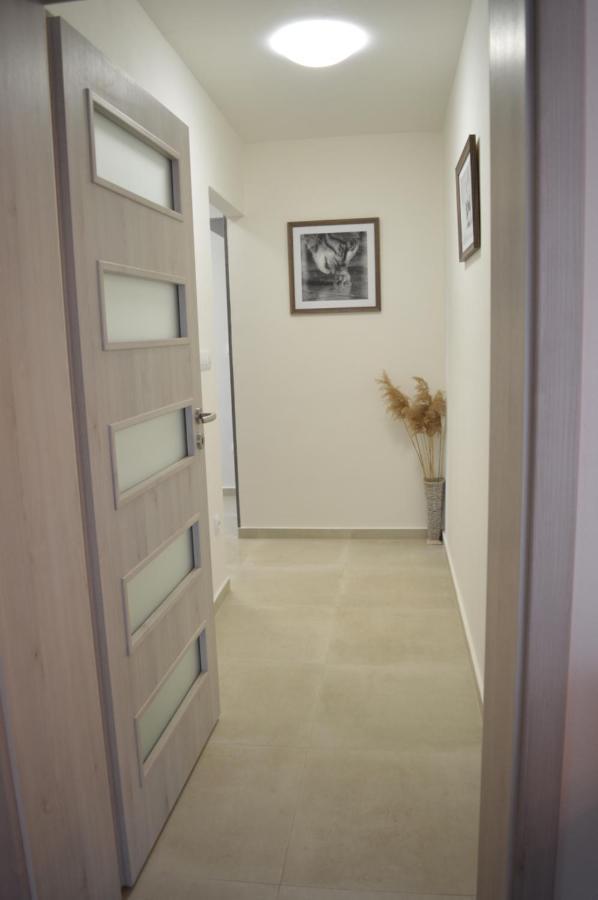 Apartmany Olsovska Бзенец Экстерьер фото
