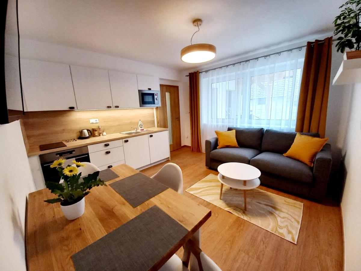 Apartmany Olsovska Бзенец Экстерьер фото