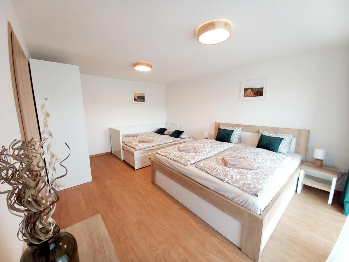Apartmany Olsovska Бзенец Экстерьер фото